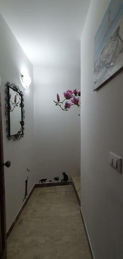 Apartmán Casa Enrico Castelmola Exteriér fotografie